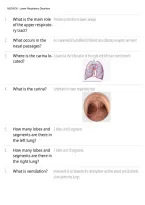 NSG4330 Lower Respiratory Disorders 2026&sol;2027 &vert; Study Guide&comma; Practice Questions & Answers&comma; Exam Review