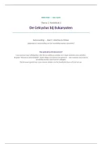 document-image