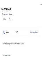 BIOS 252 Lab 2 2026&sol;2027 &vert; Anatomy & Physiology Lab Questions&comma; Answers & Study Guide&NewLine;