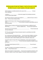 SDI Divemaster Study Set Chapter 3 with all Correct & 100&percnt; Verified Answers &vert;Latest Update &vert;Already Graded A&plus;