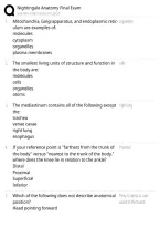 Nightingale Anatomy Final Exam Questions & Answers PDF &vert; Complete Anatomy & Physiology Practice Test & Exam Prep &vert; 2026&ndash;2027