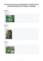 Ffa Floriculture Plant Id Frequently Tested Actual&NewLine;Exam Questions With Correct Answers