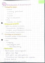 document-image