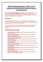NUR 631 Pathophysiology Quizzes &ndash; Weeks 1&ndash;7 & 9&ndash;15 &NewLine;Comprehensive Study Guide & Exam Preparation Resource &vert; &NewLine;Instant Pdf Download 