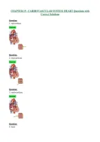 CHAPTER 19 - CARDIOVASCULAR SYSTEM HEART Questions with Correct Solutions