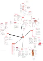 Summary -  Life Sciences &lpar;Biology&rpar; - Strand 2&period;4&period; Human Reproduction