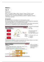 document-image