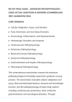 Nr 507 Final Exam &ndash; Advanced Pathophysiology &NewLine;&lpar;2026&rpar; Actual Questions & Answers &lpar;Chamberlain&rpar;&NewLine;100&percnt; Guarantee Pass