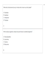 ATI TEAS Nursing Entrance Exam &vert; Practice Questions and Answers&comma; Study Guide & Test Preparation