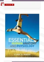 Essentials of Human Anatomy & Physiology 10th Edition Test Bank by Elaine N&period; Marieb &vert; Complete Chapters &vert; Exam Questions & Verified Answers