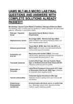 Uams Mlt-Mls Micro Lab Final Questions And Answers With Complete Solutions Already Passed&excl;&excl;&excl;