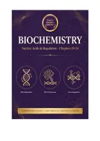 Test Bank - Biochemistry&comma; 10th Edition &lpar;Campbell&comma; 2026&rpar;&comma; Chapter 19-24 Nucleic Acids & Regulation &vert; Practice Questions 2026&sol;2027 Edition