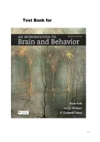 An Introduction to Brain and Behavior 7th Edition by Bryan Kolb &vert; Study Guide