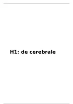 Neuroanatomie tekeningen&comma; schema's en uitleg van in de les&period; 