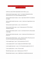 Grays Anatomy for Students Drake 2026 100 Correct Answers Verified A Graded