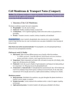Summary -  Cell membrane and transport