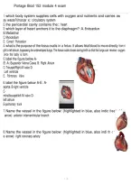 BIOD 152 Module 4 Exam Review &vert; Biology Study Guide & Practice