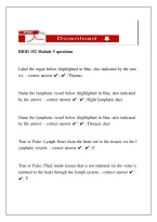 BIOD 152 Module 5 Practice Questions &vert; Biology Exam Review & Study Guide