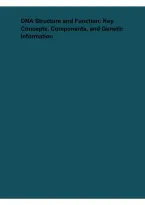 DNA Structure and Function &ndash; Key Concepts&comma; Components&comma; and Genetic Information