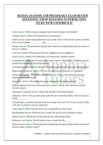 Human Anatomy And Physiology Exam Review Questions &vert; From Question To Perfection&vert; Study With Confidence&excl;