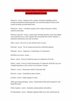 Genetics A Conceptual Approach 7th Digital Update Pierce 2026 QUESTIONS AND ANSWERS RATED A LATEST UPDATE 2026