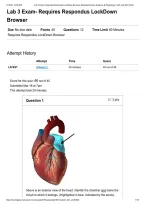 BIO 152 Essential Human Anatomy & Physiology II Lab 3 Exam Questions with 100&percnt; Correct Answers Fall 2026 &vert; Portage Learning &vert; Respondus LockDown Browser