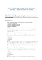 Test Bank for Pathophysiology&colon; The Biologic Basis for Disease in Adults and Children