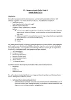 Summary Literature Clinical Psychology &lpar;&rpar;&colon; 8&period;5 on the exam&excl;