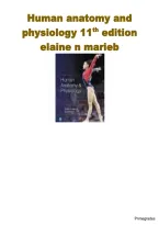 Human Anatomy & Physiology 11th Edition Test Bank &vert; Marieb & Hoehn &vert; A&plus; Graded