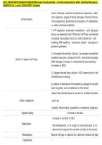 GCU PATHOPHYSIOLOGY MIDTERM Exam Study Guide &ndash; Practice Questions with Verified Answers&period; &NewLine;GRADED A&plus;&period; Latest 2026&sol;2027 Update 