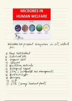 Class notes Biology  