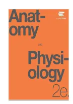 Test Bank For Anatomy And Physiology 2Edition By Openstaxisbn&colon; 978-1711494067 Complete Guide All Chapters Covered 100&percnt; Verified A&plus; Grade Assured &excl;&excl;&excl;&excl;