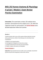 BIOL 252 Human Anatomy & Physiology &NewLine;II w&sol;Lab &vert; Module 1 Exam Review&NewLine;Practice Examination