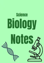 Biology Body System Notes
