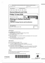 Latest Preview Thumbnail