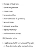 Gcu Pathophysiology Final Exam Questions And Correct Verified Solutions Latest Update This Year- Just Released&period;pdf&NewLine;&NewLine;