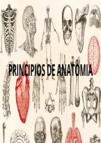 Anatom&iacute;a humana y la organizaci&oacute;n del cuerpo humano 