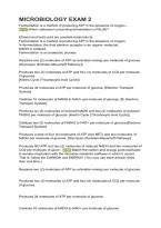 Microbiology Exam 2 2026&sol;2027 &vert; Study Guide&comma; Practice Questions & Answers&comma; Exam Review