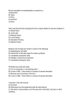 Microbiology Final Exam 2026&sol;2027 &vert; Comprehensive Practice Questions&comma; Answers & Exam Review