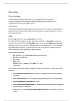 Verpleegkundige methodiek 3 &vert; Circulatie & Hypertensie &vert; VIVES &vert; 2026&sol;27