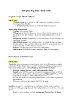 SUNY Downstate Medical Center NRMS 5190 &vert; Pathophysiology Exam 1 Study Guide &vert; Already Graded A&plus; &vert; Latest &lpar;2026&sol;2027&rpar; Updated Version &lbrace;JUST RELEASED&rcub;