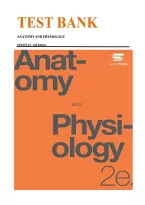 Test Bank for OpenStax Anatomy & Physiology 2nd Edition &vert; Complete Textbook Study Resource