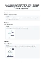 Chamberlain University A&P Ii Exam 1 &lpar;Muscles&NewLine;And Nerves&rpar; Updated Actual Questions And&NewLine;Correct Answers