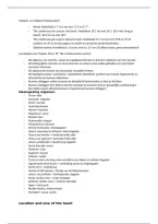 Tentamenstof Bloed & Hart &vert; Module 1&period;4&period;1 &vert; Hanzehogeschool