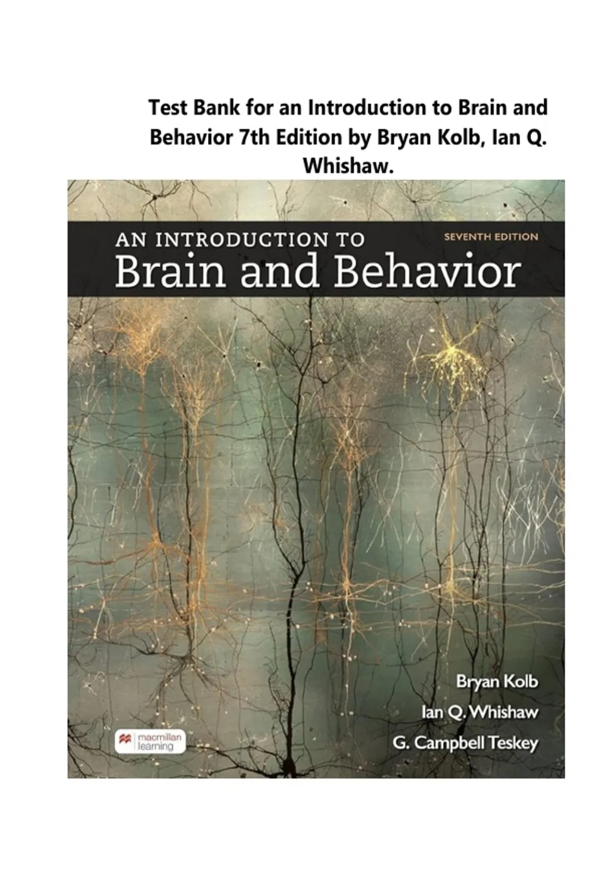 Test Bank for An Introduction to Brain and Behavior 7th Edition by ...