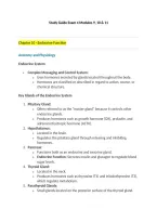 N530 Pathophysiology Exam 4 Study Guide &mdash; Updated and Latest Questions and Correct Answers with Rationale