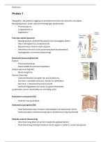 Anatomie Module 1 Ergotherapie&vert; Arteveldehogeschool &vert; 2026&sol;27