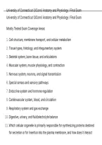 University of Connecticut &lpar;UConn&rpar; Anatomy and Physiology I Final Exam QUESTIONS AND CORRECT ANSWERS WITH DETAILED RATIONALES&period;pdf&NewLine;&NewLine;
