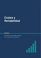 Costos y Rentabilidad&colon; Gu&iacute;a pr&aacute;ctica con ejemplos resueltos