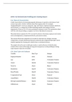 WGU D599 Task 1&colon; Data Profiling and Cleaning &vert; Complete Revised Report&comma; Python Code & Data Analysis &vert; 2026&sol;2027 Updated with complete solutions&period;